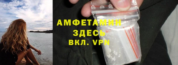 гашик Краснослободск