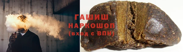 гашик Краснослободск