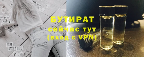 гашик Краснослободск