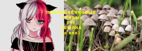 скорость Коряжма